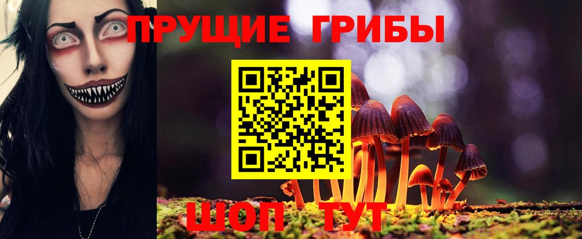 Галлюциногенные грибы Psilocybine cubensis  цена наркотик  Вход с VPN  Батайск  Псилоцибиновые грибы GOLDEN TEACHER 